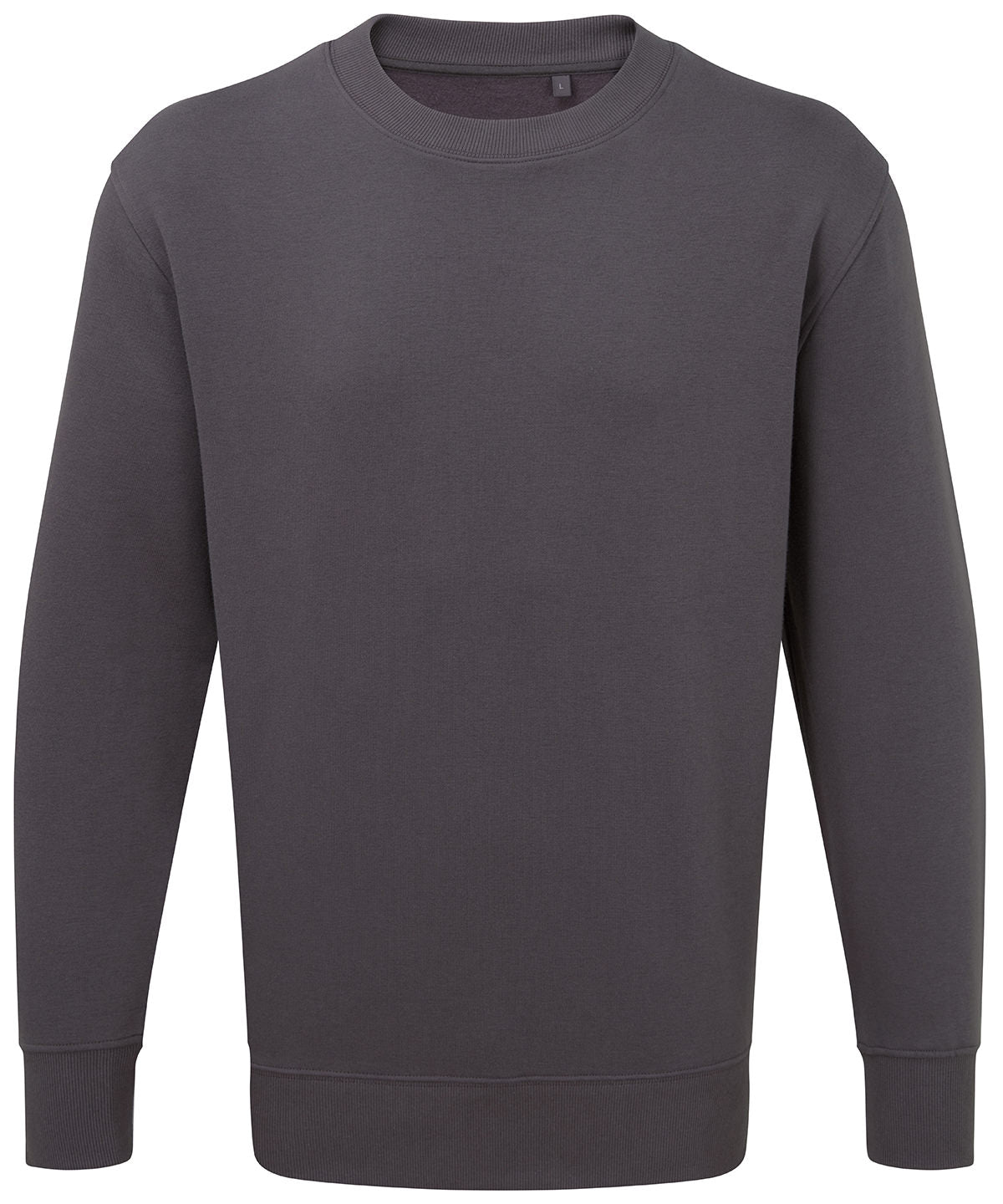 Anthem sweatshirt | charcoal