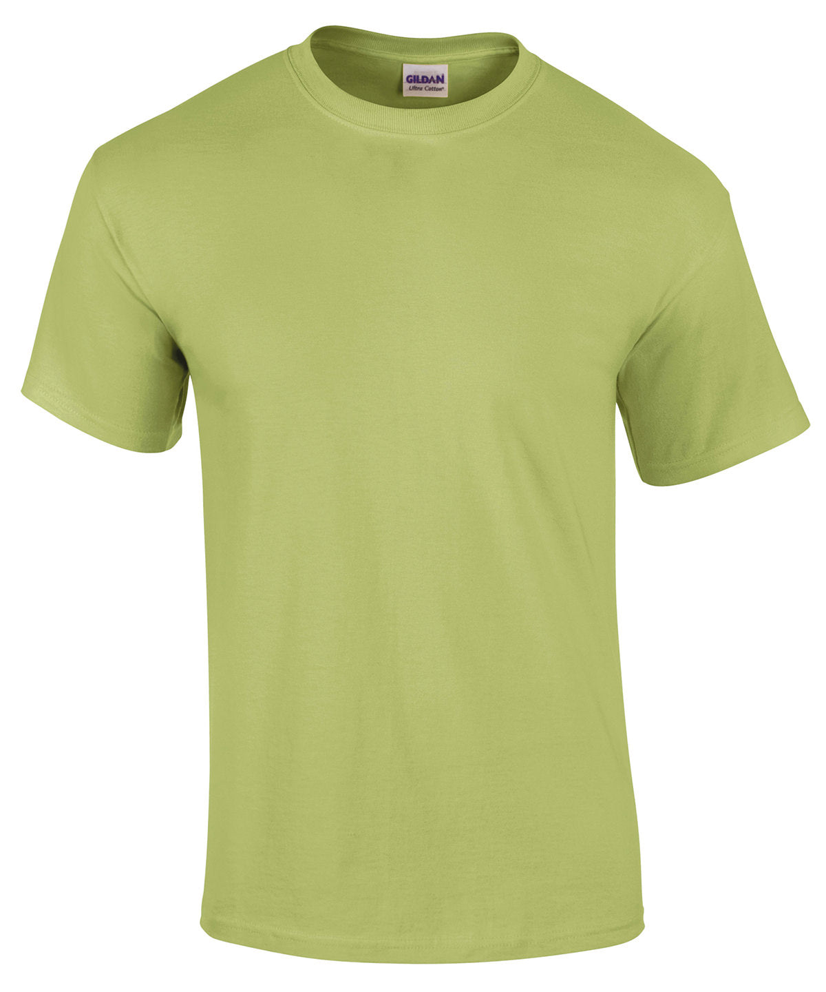 Ultra Cotton adult t-shirt | Pistachio