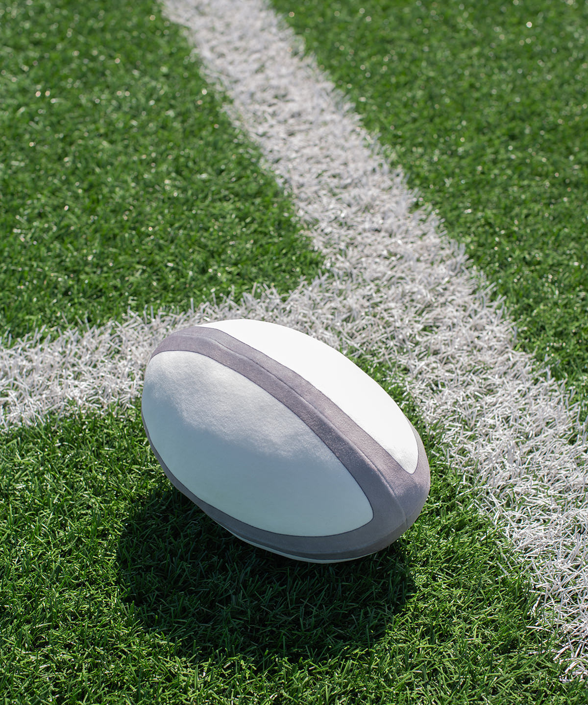 Zippie rugby ball | white/grey