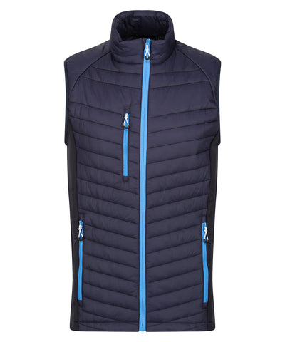 Navigate hybrid bodywarmer | navy/french blue